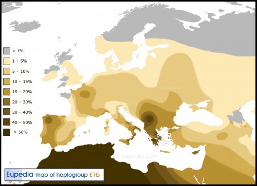 haplogroup-e1b1b_.jpg