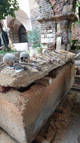 cranio torroja + cranio bafometto.jpg