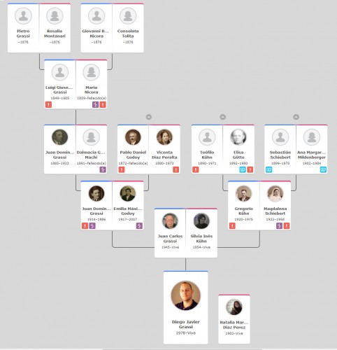 Albero genealogico Diego Grassi.jpg