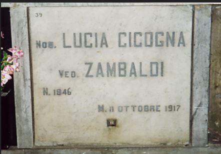 cicogna 2.JPG