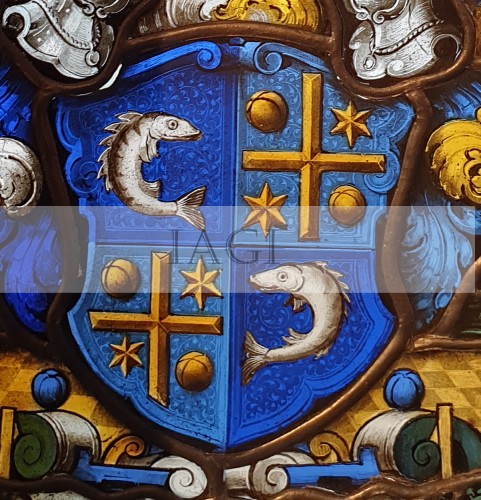 stemma 20201006_081331.jpg