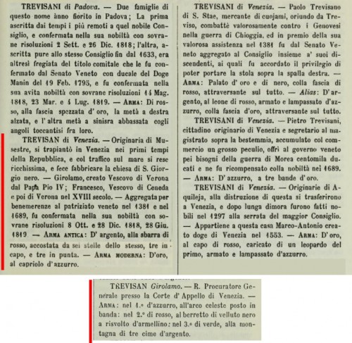 trevisan testo1.jpg