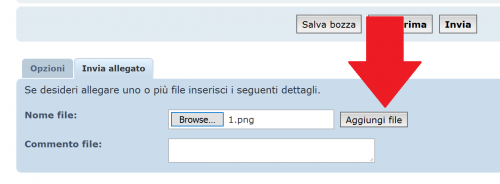 allegare3.png