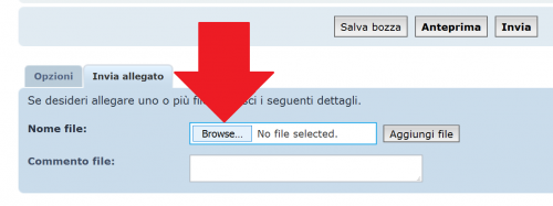 allegare2.png