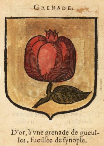 g.jpg