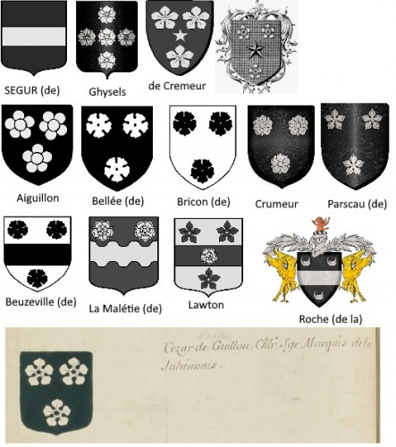 nero rose fascia.jpg