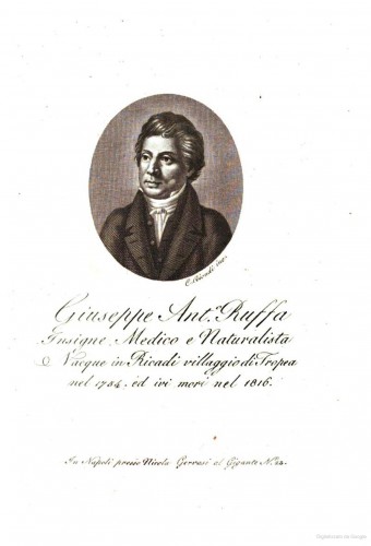 immagine.jpg