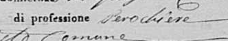 Perochiere.png