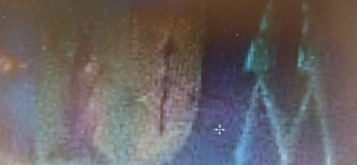 299323768_10227415977658155_3775126419474421068_n.jpg
