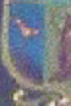 14442.jpg