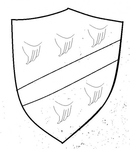 image.jpg