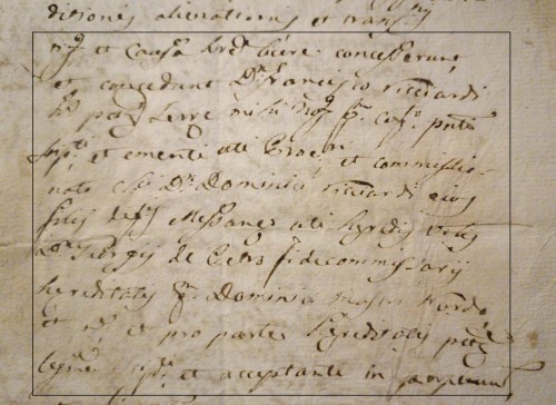 WhatsApp Image 2023-02-25 at 18.04.55.jpeg