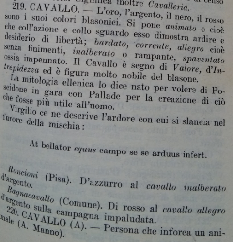 camaiani.png
