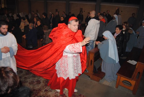 cardinal-burke-cappa-magna-featured.jpeg